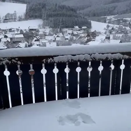 Daire Pieck Mit Parkplatz Und Privater Garage