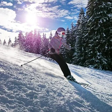 アパート Pieck Mit Parkplatz Und Privater Garage